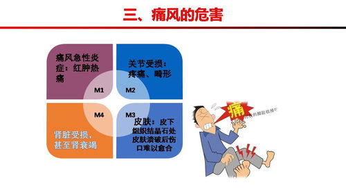 高尿酸血症的健康管理方案 痛风预防的黄金法则